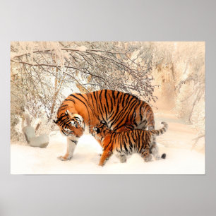 Póster Madre tigre y cachorro en el bosque de nieve