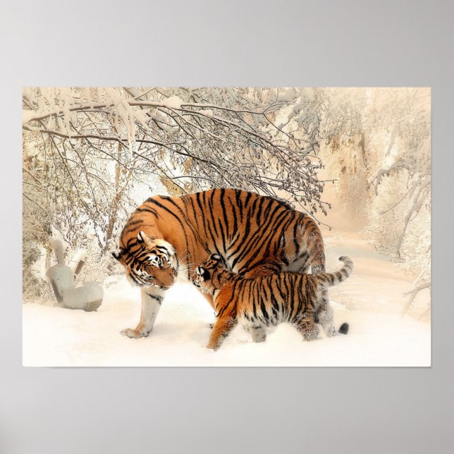 Póster Madre tigre y cachorro en el bosque de nieve (Frente)