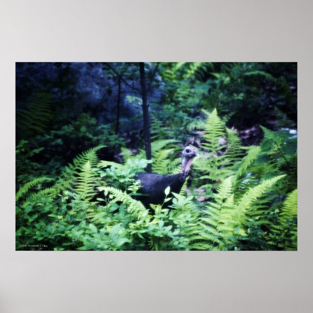 Póster Madre Turquía en Poster de Ferns (Frente)