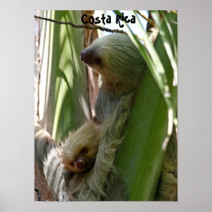 Póster Madre y bebé