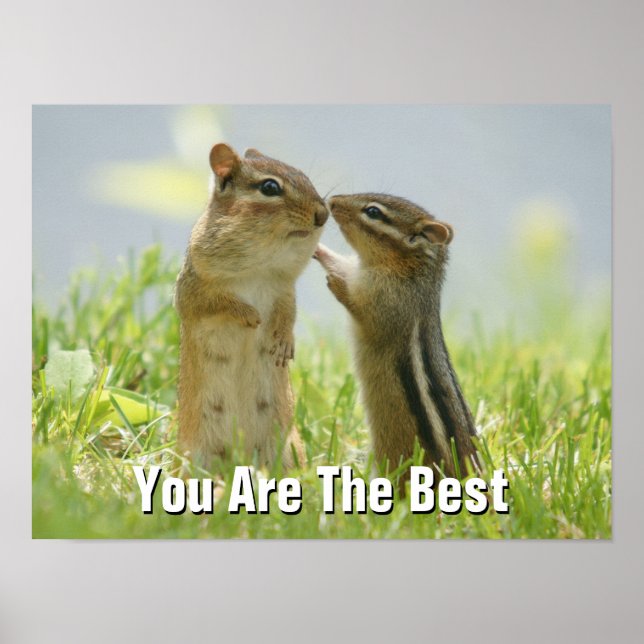 Póster Madre Y Bebé Chipmunk (Frente)