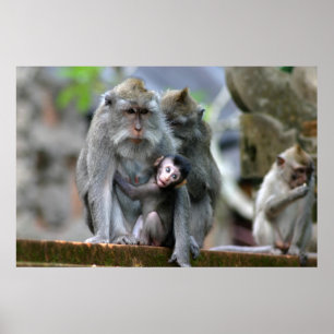 Póster Madre y niño