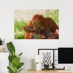 Póster Madres de Orangutan Tender Momentos