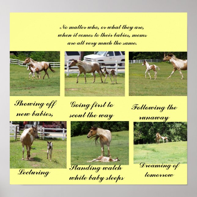 Póster Madres y bebés (Frente)