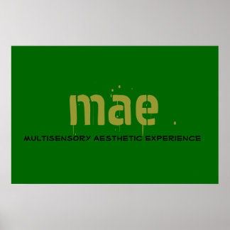 PÓSTER MAE