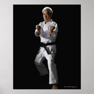Póster Maestro de karate, retrato, toma de estudio 2