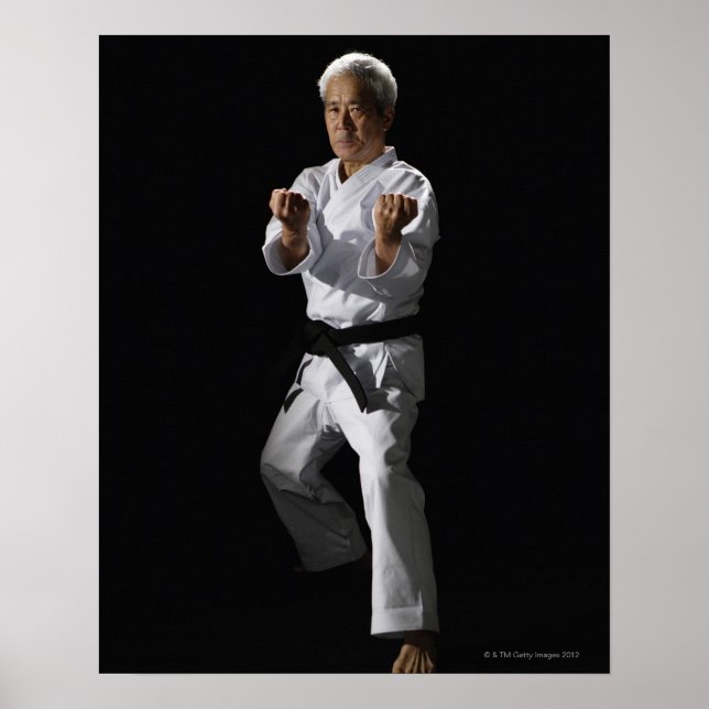Póster Maestro de karate, retrato, toma de estudio 2 (Frente)
