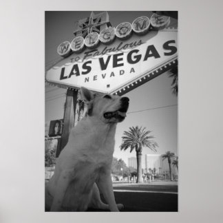 Póster Maggie - Letrero de Las Vegas
