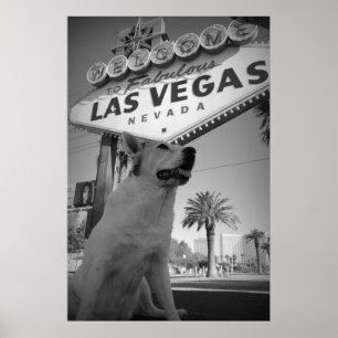 Póster Maggie - Rótulo de Las Vegas