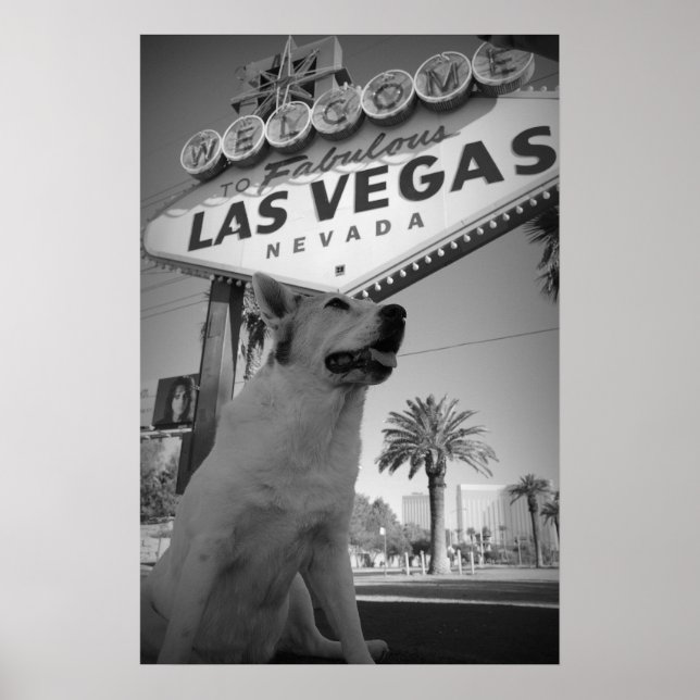 Póster Maggie - Rótulo de Las Vegas (Frente)