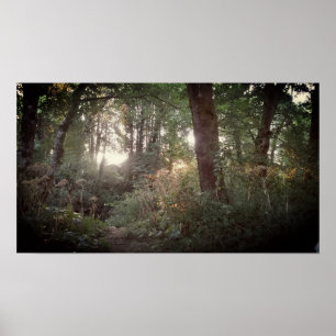 Póster Magia de Oregon - poster