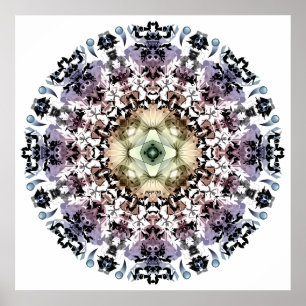 Póster Magic Indian