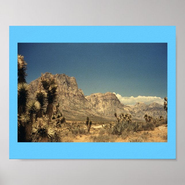 Póster Mágica del desierto (Frente)