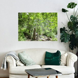 Póster Magical Green Forest Scene.