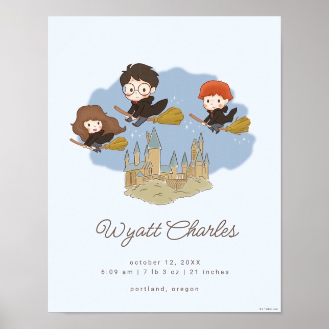 Póster Magical Harry Potter & Hogwarts Estadísticas de na (Frente)