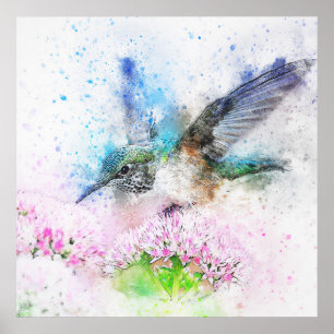 Póster Magnífica acuarela de colibrí