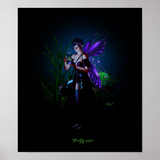 Póster Magnífica magia
