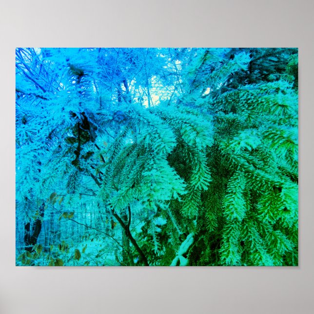 Póster Magníficas hebras de árbol de flores congeladas en (Frente)