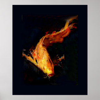 Póster Magnífico Naranja Koi Poster