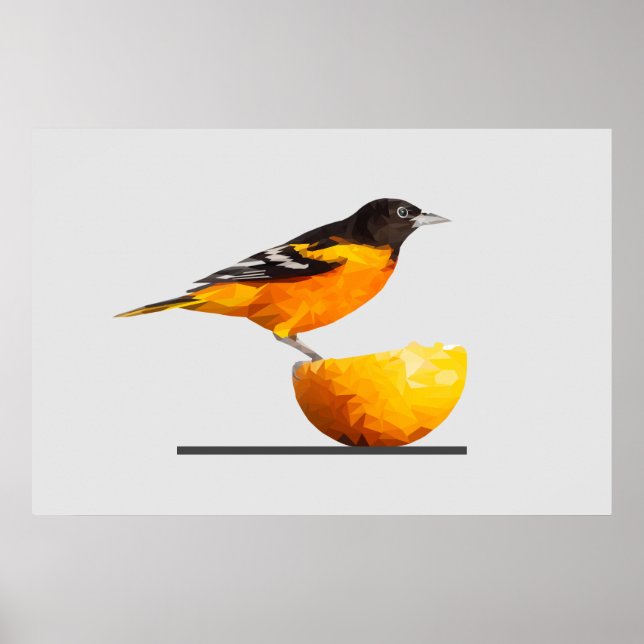 Póster Magnífico Poster de aves Minimalistas Oriólicas (Frente)