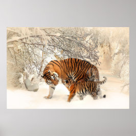 Póster Magnífico tigre y cachorro en la nieve