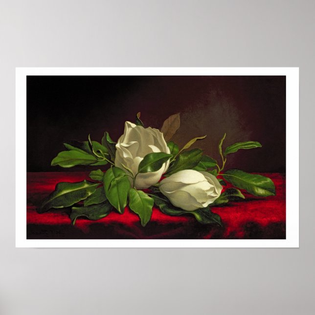 Póster Magnolia (Frente)