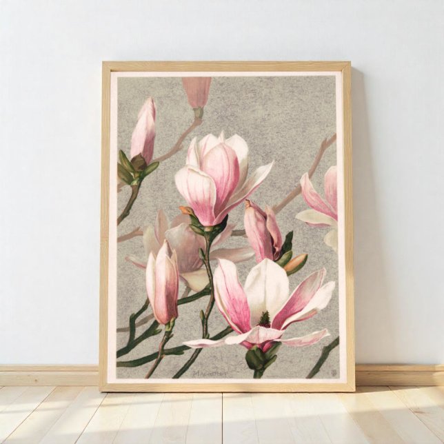 Póster Magnolia (Subido por el creador)