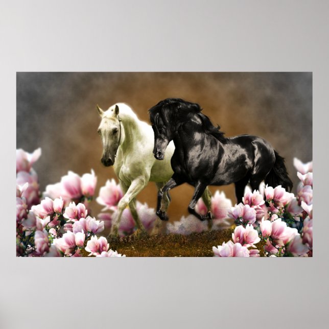 Póster Magnolia Alley - Poster (Frente)