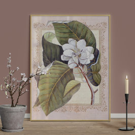 Póster Magnolia Botánica Vintage de Southern Elegance