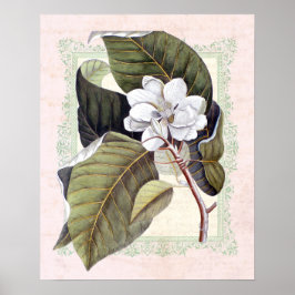 Póster Magnolia Botánica Vintage de Southern Elegance
