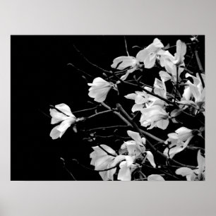 Póster Magnolia Branches Art
