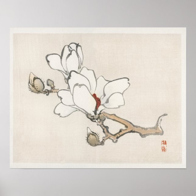 Póster Magnolia de Kōno Bairei (1844-1895) (Frente)