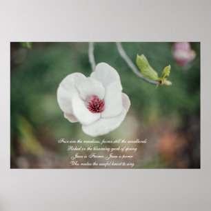 Póster Magnolia japonesa blanca flor con viejo himno