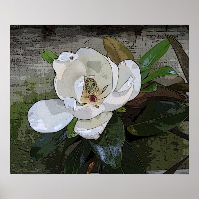 Póster Magnolia Magic Print -24x20 -otros tamaños disponi (Frente)