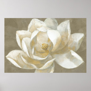 Póster Magnolia majestuosa