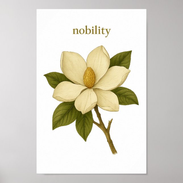 Póster Magnolia - Nobleza (Frente)