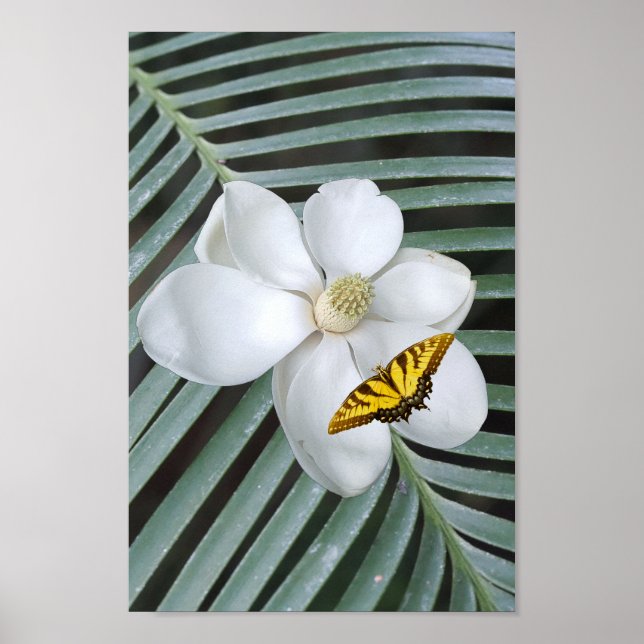 Póster Magnolia Print, Value Poster Paper (Semi-Gloss) (Frente)