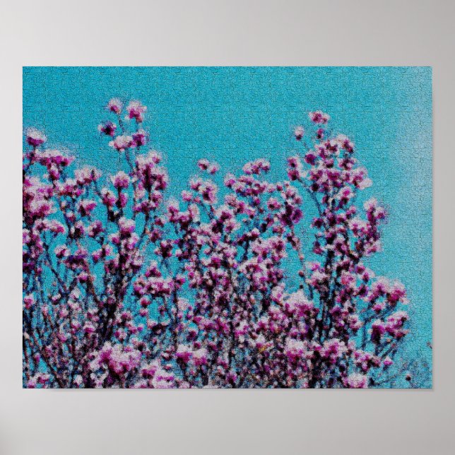 Póster Magnolia rosa florece con cielo azul pintura fotog (Frente)