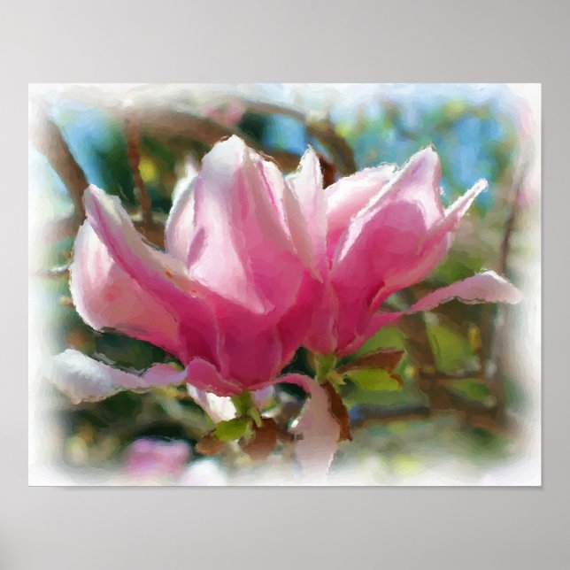 Póster Magnolia rosa florece con flores pintura fotográfi (Frente)
