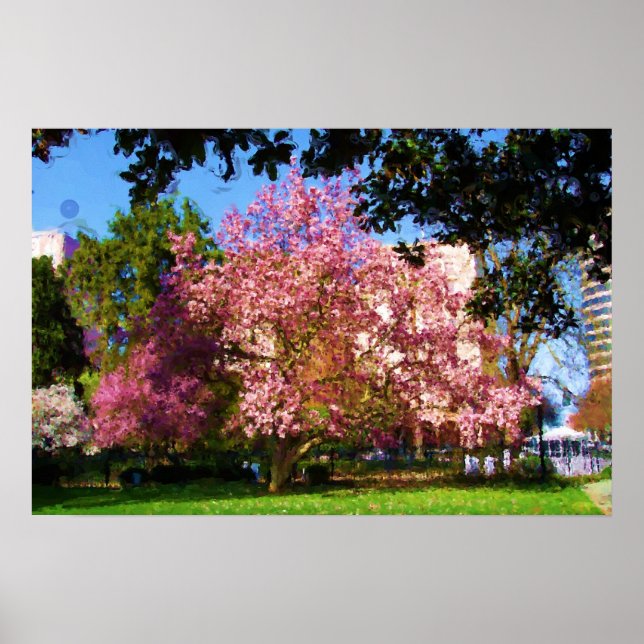 Póster Magnolia Three Poster (Frente)
