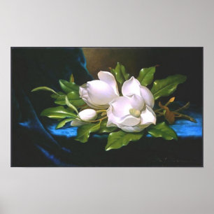 Póster Magnolia vintage (alrededor de 1890) Imprimir