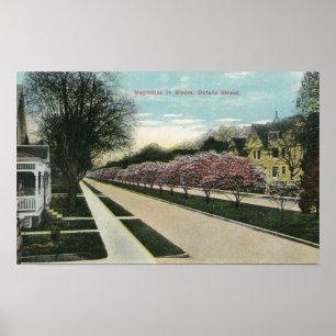 Póster Magnolias de Oxford Street en Bloom