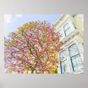 Póster Magnolias floreciendo junto a casa victoriana