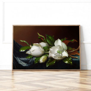 Póster Magnolias sobre azul claro por Martin Johnson Head