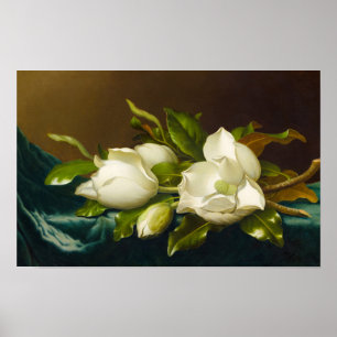 Póster Magnolias sobre tela de terciopelo azul claro de M