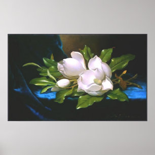 Póster Magnolias sobre terciopelo azul