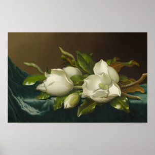 Póster Magnolias sobre terciopelo azul claro, pintura fam