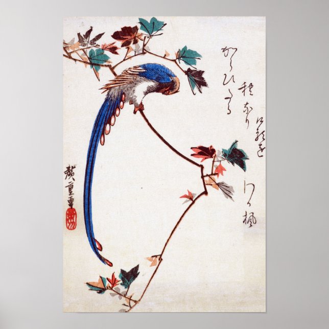 Póster Magpie azul en rama de arce por Hiroshige (Frente)