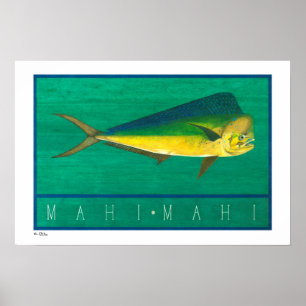 Póster Mahi-Mahi Posters, Prints and Frames