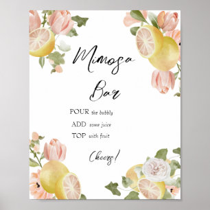 Póster Main Squeeze Cítrico Floral Rosa Mimosa Bar